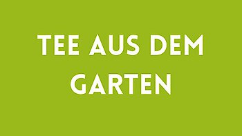 Der hilfreiche Tee aus dem eigenen Garten